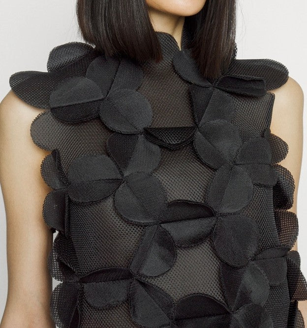 Top, Lace Mesh Vest Is Sheer Elegance (Black)