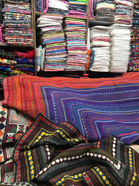 Road Trip: Making Plans for Future Collections in Pakistan
