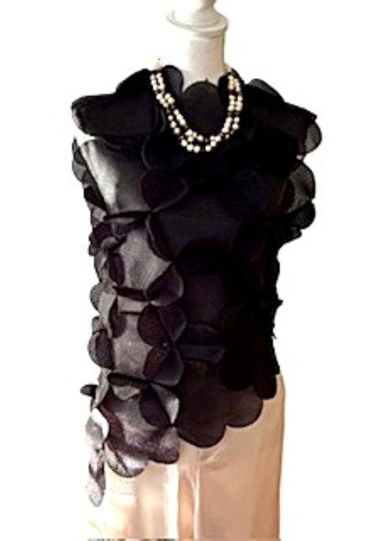 Top, Lace Mesh Vest Is Sheer Elegance  (Black)