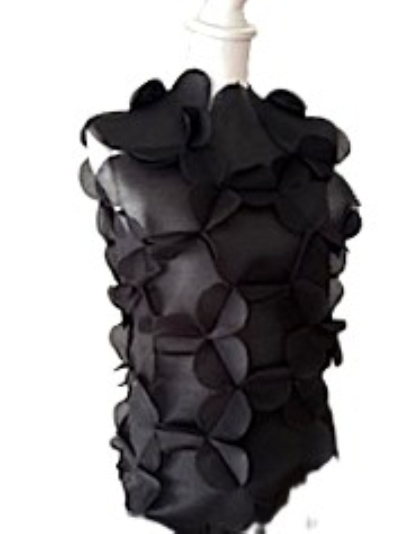 Top, Lace Mesh Vest Is Sheer Elegance  (Black)