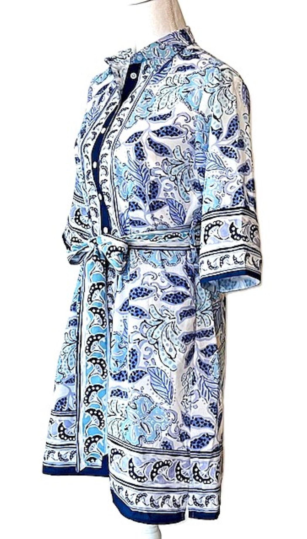 Classic Shirtdress Is Elegant With Lots Of Designer Details. (Blue and White)