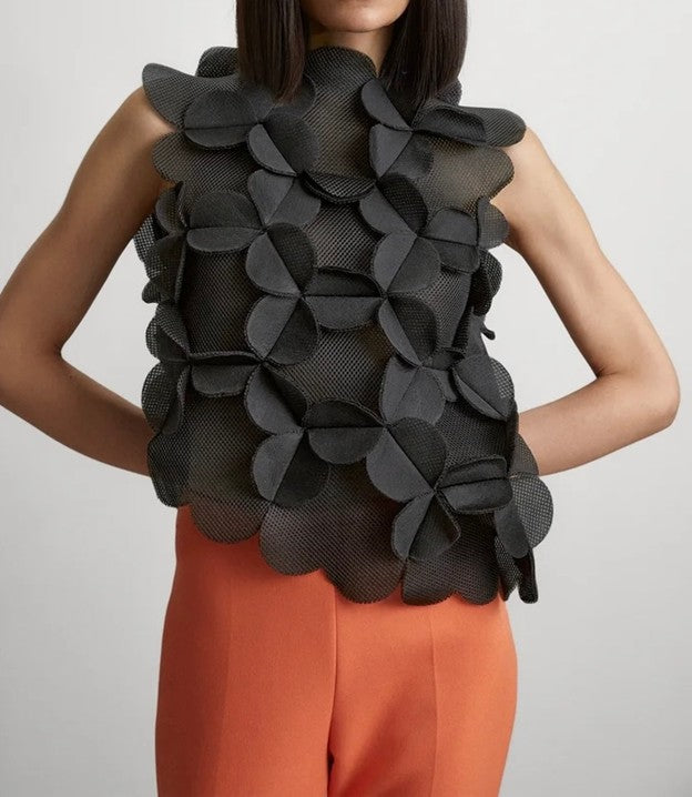 Top, Lace Mesh Vest Is Sheer Elegance  (Black)